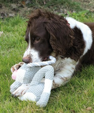 Chewtopia Eco Teether Toy