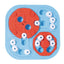 BRAINY GAMES Galileo