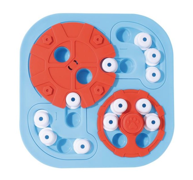 BRAINY GAMES Galileo