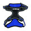 Hiking Harness M-Pets Blue