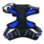 Hiking Harness M-Pets Blue