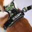 M-Pets Camouflage Hiking Harness