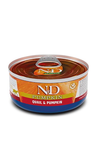 N&amp;D Cat Pumpkin Tin Quail 