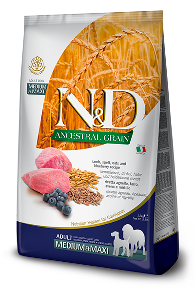 N&amp;D Ancestral Medium-Maxi Lamb &amp; Blueberries 