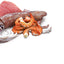 N&amp;D Cat Ocean Canned Tuna and Squid 