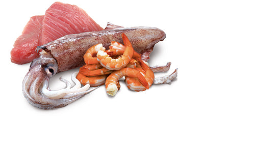 N&amp;D Cat Ocean Canned Tuna and Squid 