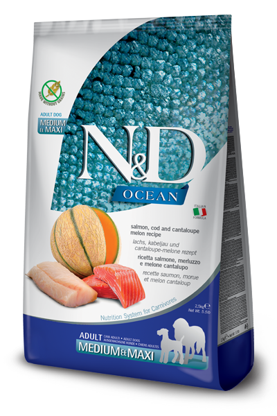 N&amp;D Dog Ocean Medium-Maxi Cod &amp; Salmon 