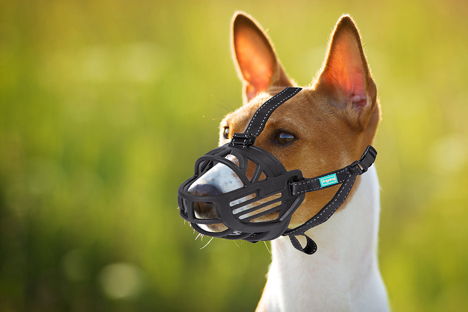 Freedog Ergo Plus Muzzle 