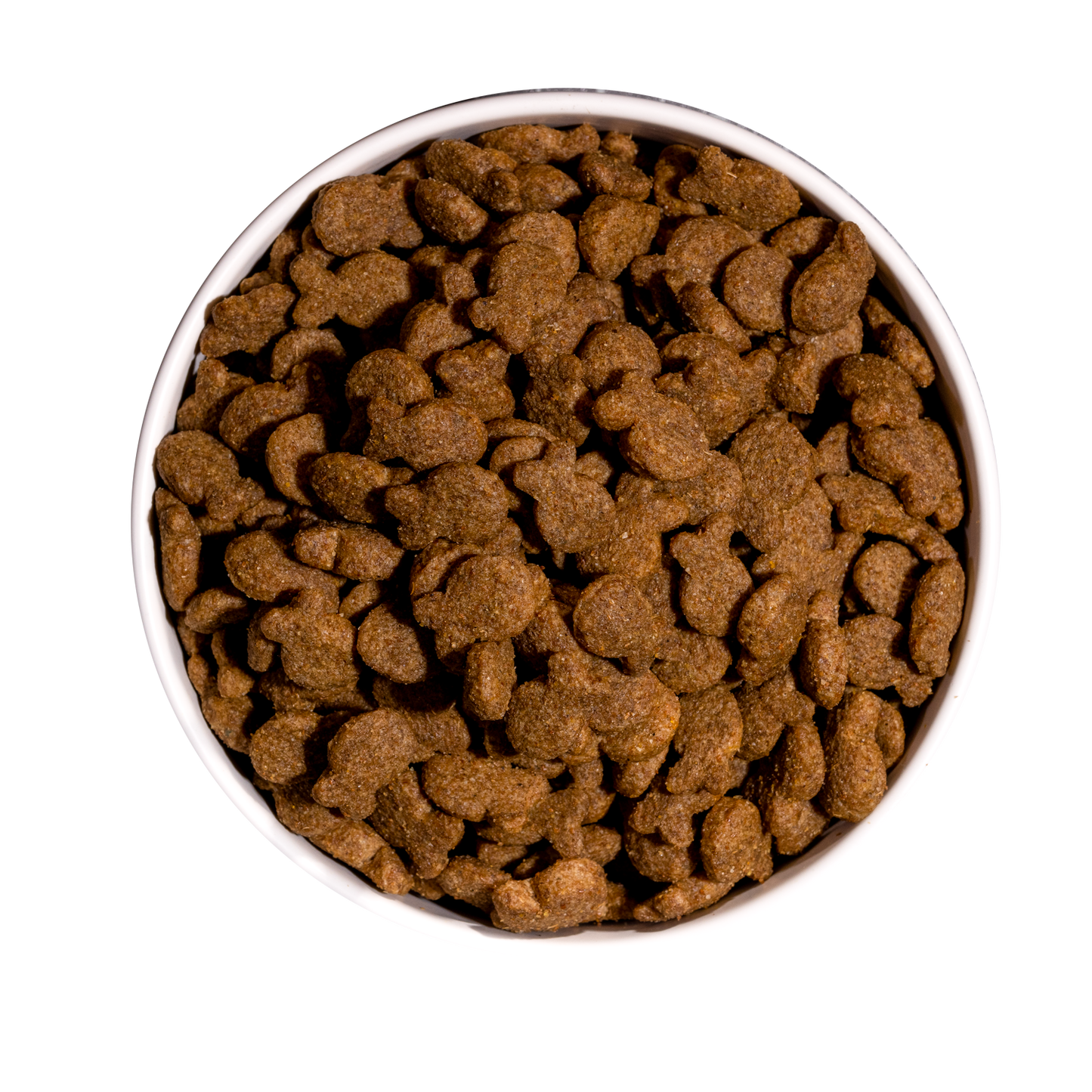 Ownat Dog Classic Fish