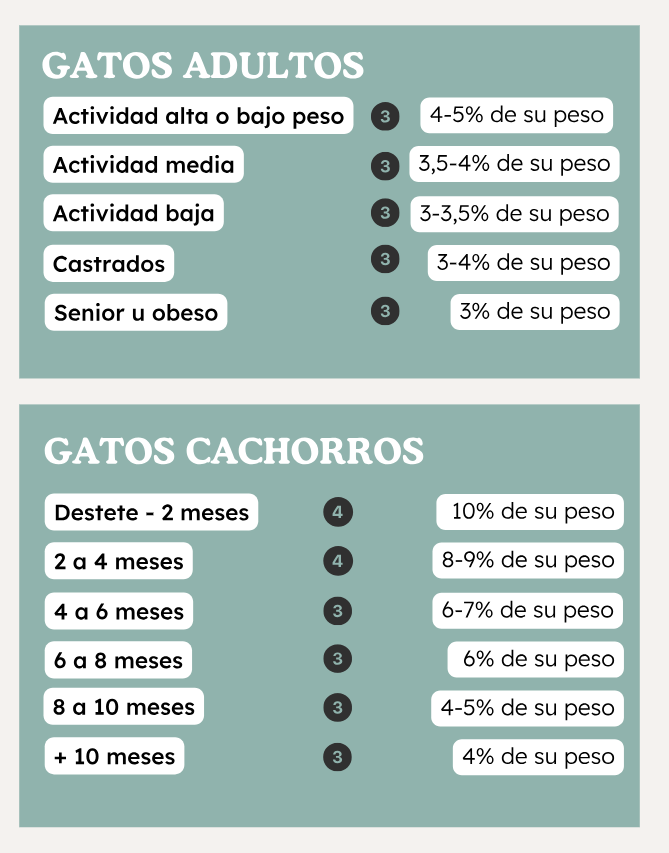 Natuka Menú BARF Gato de Pavo y Conejo
