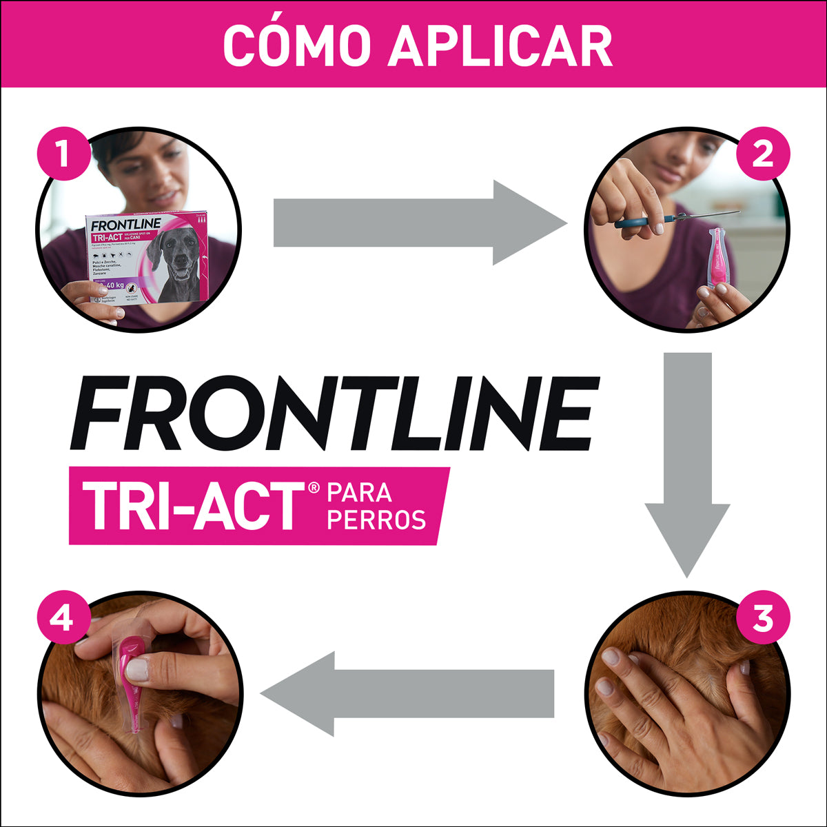 Frontline Tri-Act Pipettes