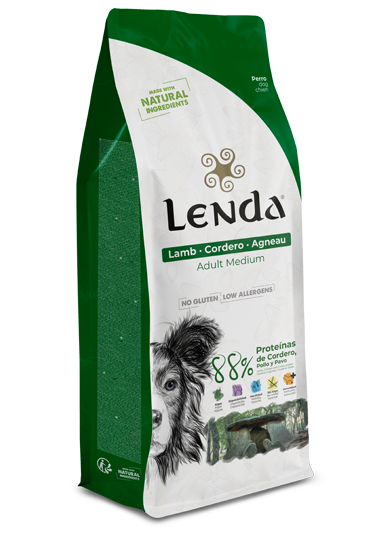 Lenda Lamb
