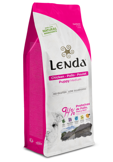 Lenda Puppy Medium