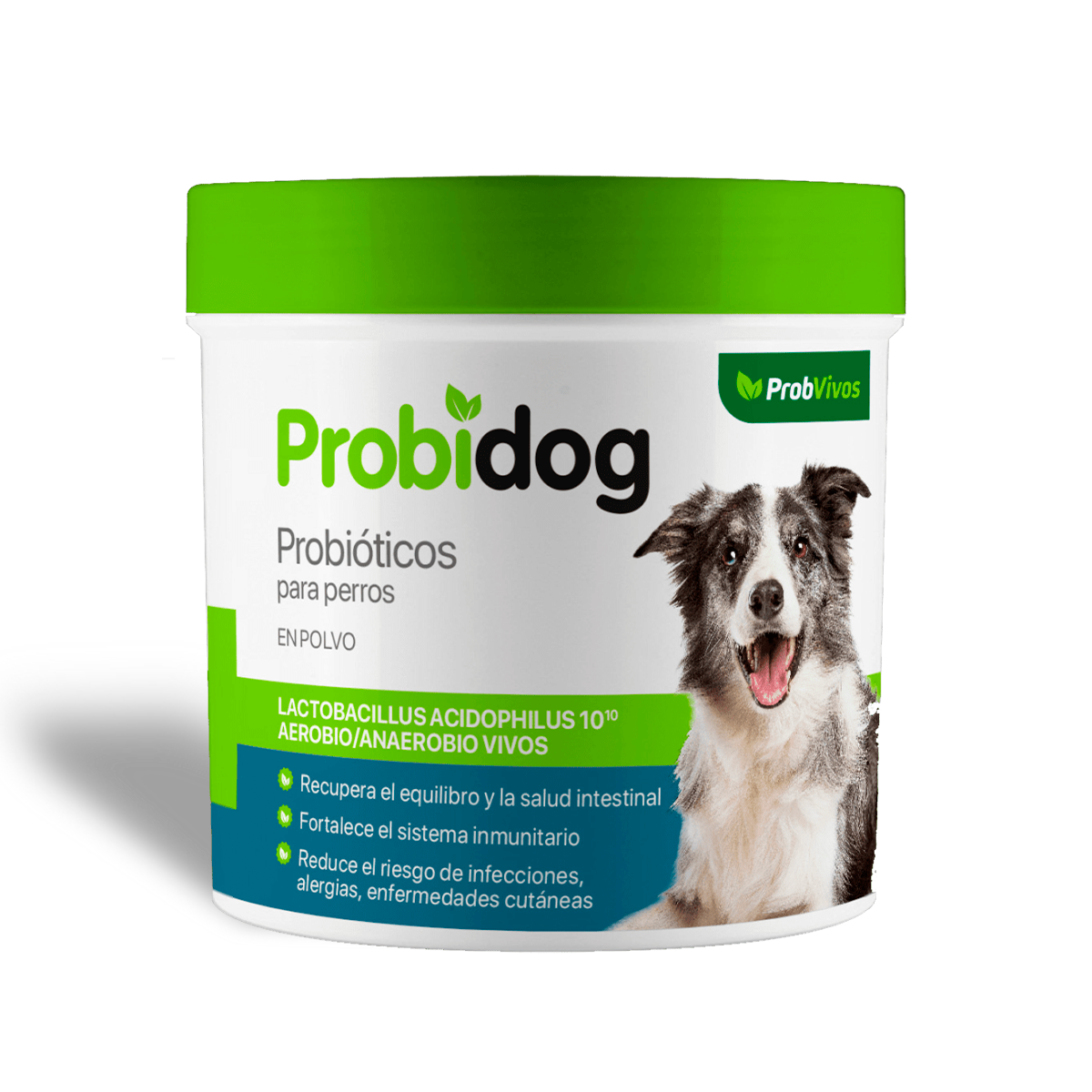 Probvivos Probidog Probióticos para Perros
