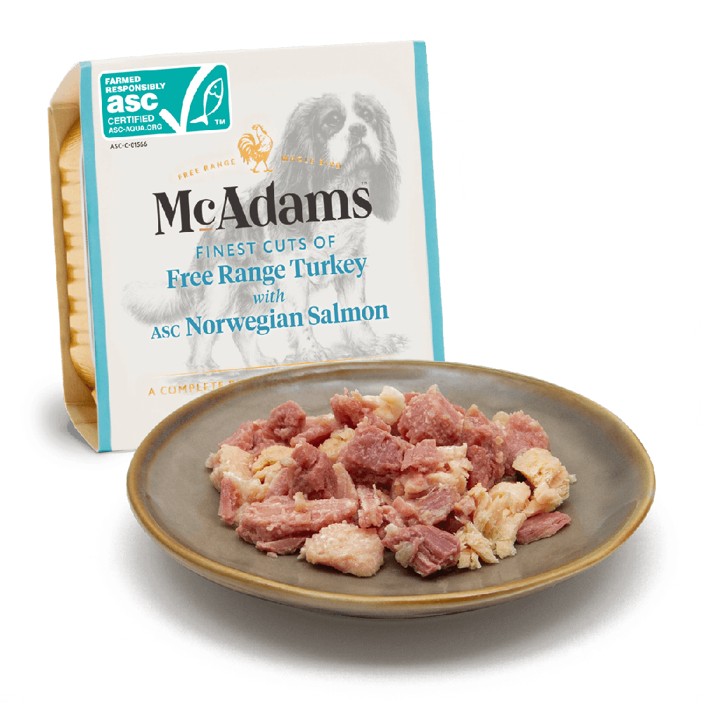 McAdams Tarrina Pavo Campero con Salmón Noruego