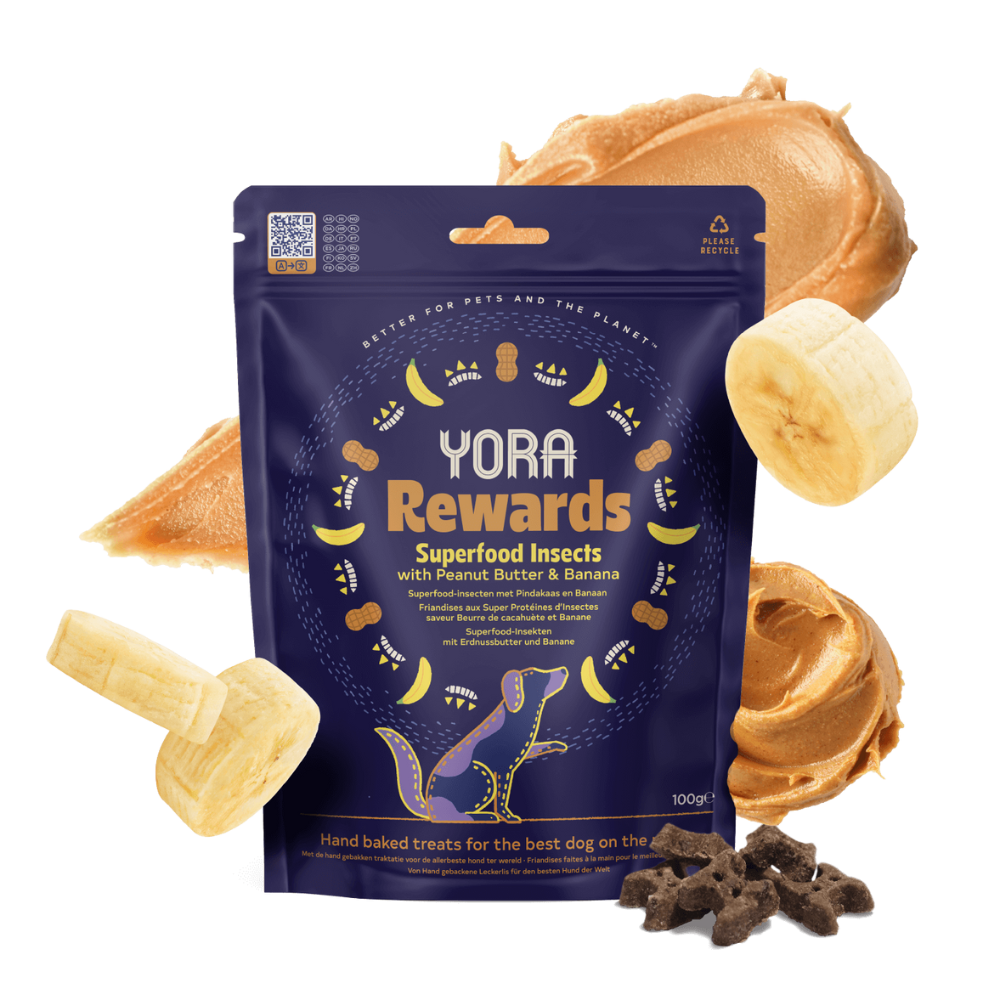 YORA Insectos Snacks con Platano y Mantequilla de cacahuete